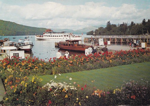 Postcard - ,