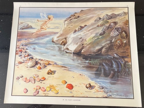 Vintage 1950s enid blyton - vintage,