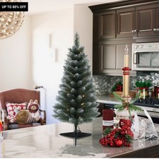 3FT PreLit Frosted Christmas