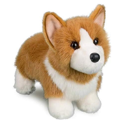 Douglas louie corgi dog - louie,