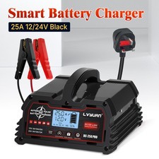 25A Smart Battery Charger