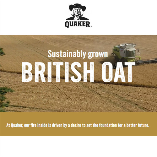 Quaker oat simple golden - quaker, so