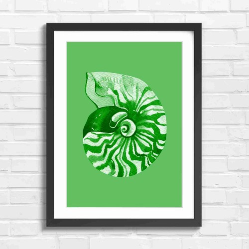 Vintage nautilus shell art - nautilus,