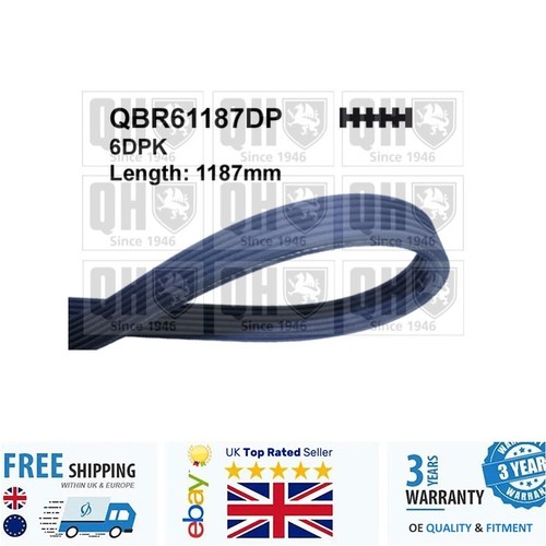 Ribbed belt for polo - for,