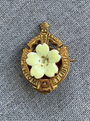 Vintage primrose league lapel - vintage,