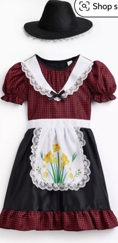 Brand new welsh fancy dress - fancy,
