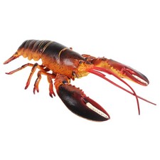 Plastic Seaside Large Lobster