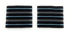 RAF Officers Rank Slides Wing