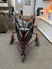Foldable Walker