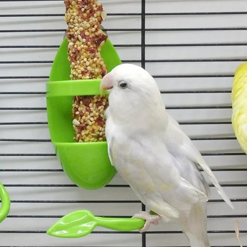Bird cuttlebone holder - bird,