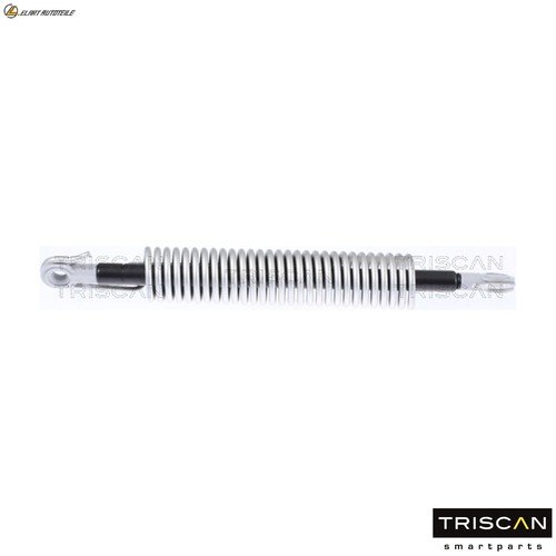 Gas spring trunk 8710 - gas,