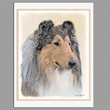 6 Rough Collie Dog Blank Art