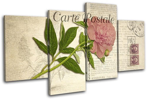 Pink flower vintage shabby - vintage,