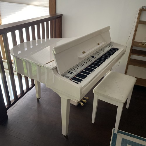 Digital baby grand piano - digital,