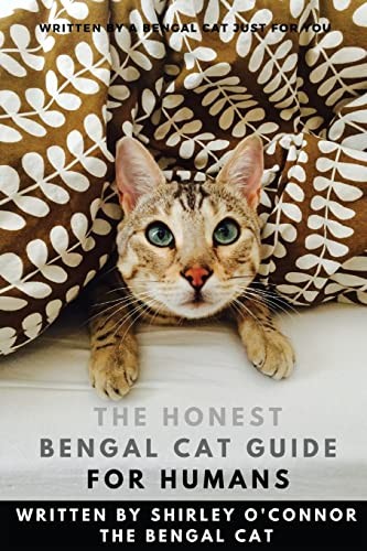 The honest bengal - cat, guide