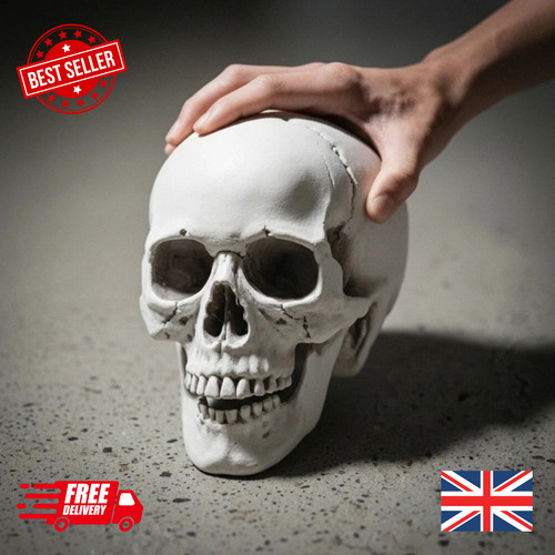 Realistic life size human - size,