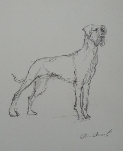 Original signed pencil line
