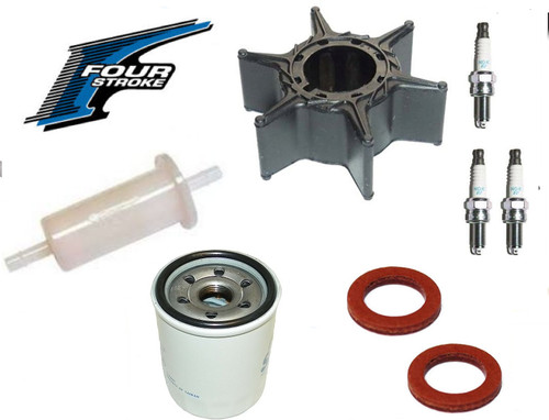 Impeller plug oil - plug, filter