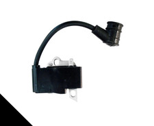 Ignition Module Coil Assembly