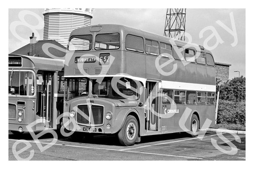 Bus photograph crosville nbc - photograph,
