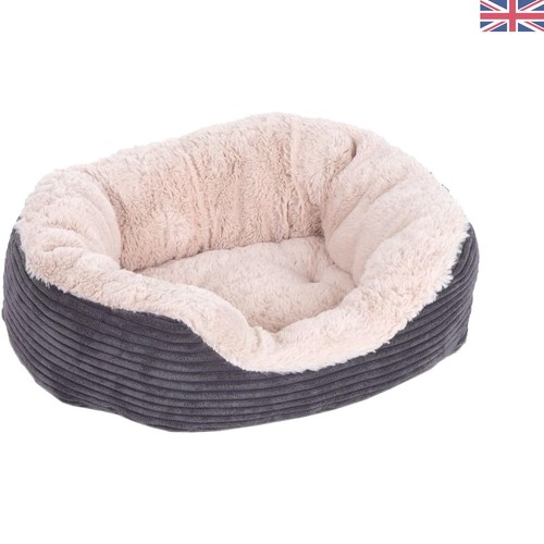 Jumbo cord plush dog - jumbo, –