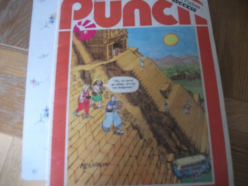 Punch magazine january - 21,