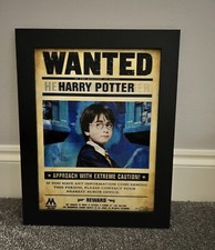 Harry Potter Framed