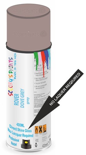 Direct shine paint spray - direct,