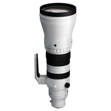 Sigma 300-600mm f4 DG OS