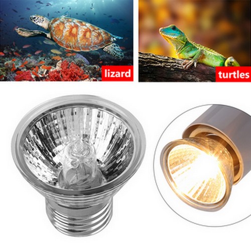 Reptile heating light - heating,