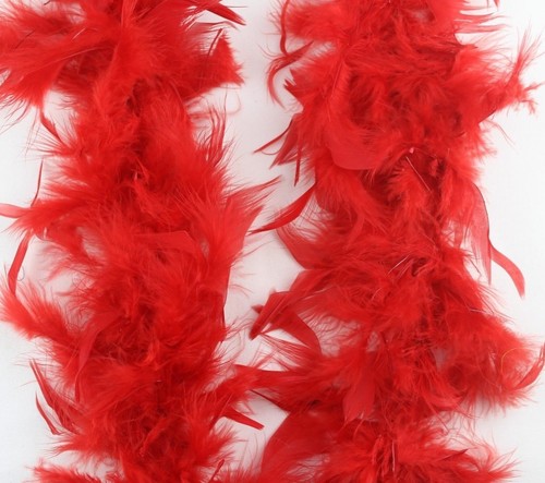 Feather boa costume - 2m,