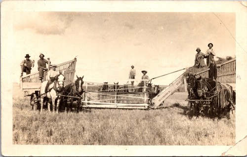 Rppc men horse pulled - ,