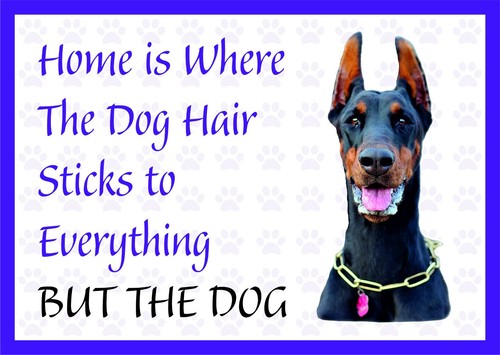 Home where the dog - where,