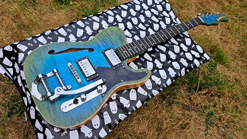 Picklehorn blue semi hollow - picklehorn,