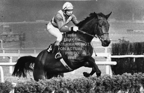 1976 night nurse photo print - 1976,