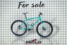 Verenti movement single speed bike with disc brakes Freewheel