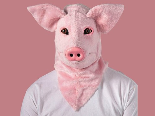 Halloween adults pig moving - halloween,