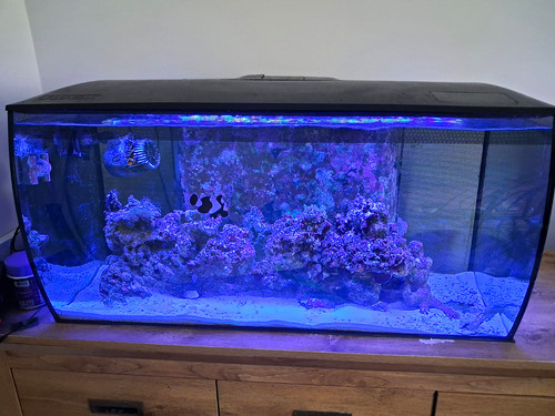 Fluval flex 123l - flex, bowfront