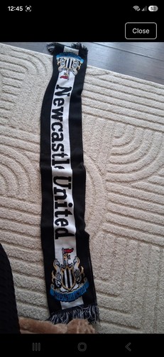 Newcastle united football - newcastle,