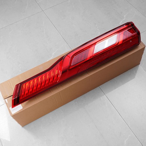 Rear left passenger light lamp - rear,