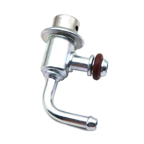 Fuel pressure regulator for - fuel,