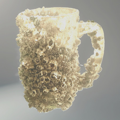 Natural barnacle encrusted - natural, barnacle-encrusted