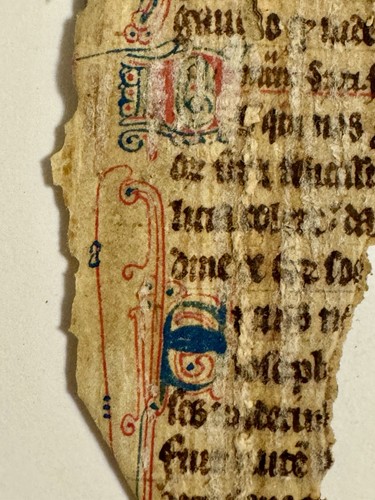 Illuminated latin vellum - illuminated,