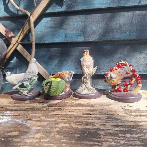 The country bird collection - the,