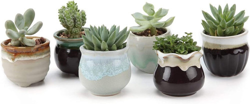Mini ceramic succulent pots - mini,