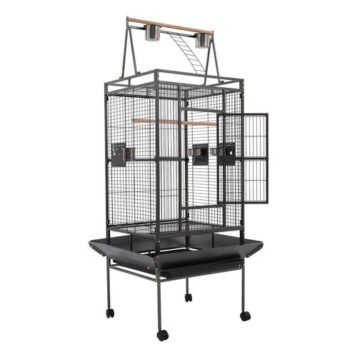 Bird cage siam budgie - siam, canary