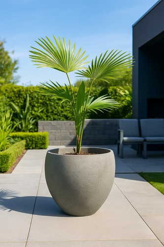 25cm rustic egg - egg, planter/pot