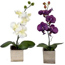 Artificial 37cm Orchid In