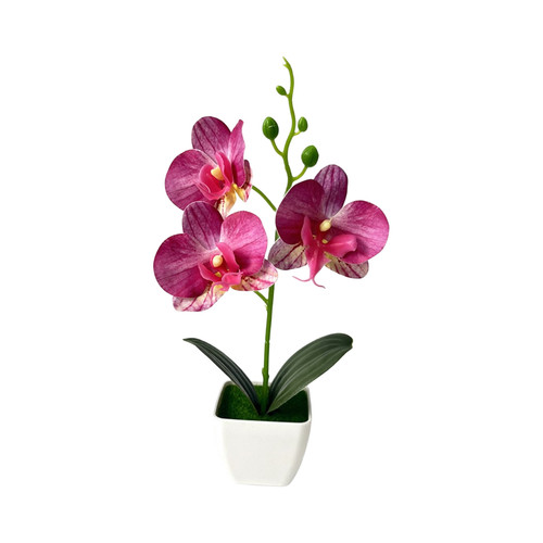 Low maintenance artificial - low,