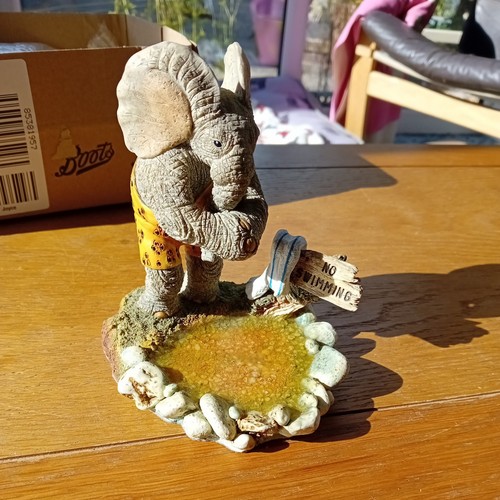 Cute tuskers leo - tuskers,